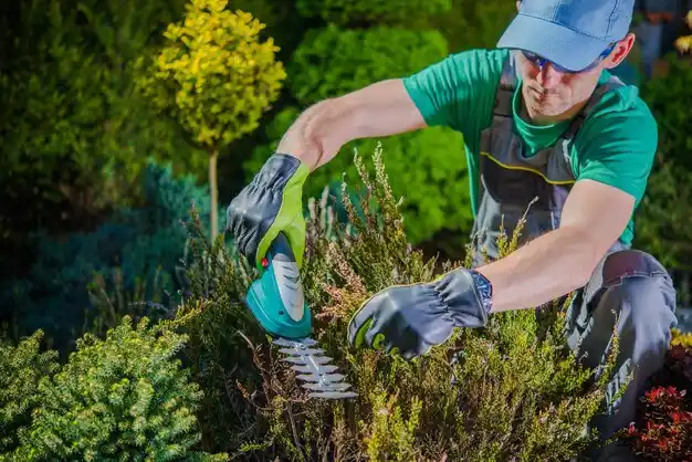 landscaping services Burton
